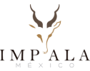 Marketing en Motores de Busqueda en Puebla